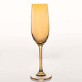 Sparkling Champagne Wine Glass in stylish wine gift set